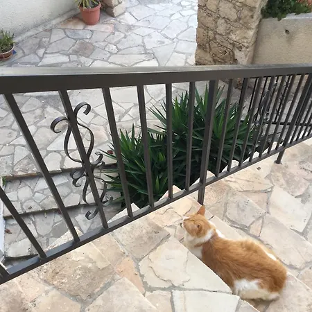 Vanilia Πάφος